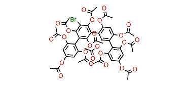 5'-Bromotetrafucol A dodecaacetate